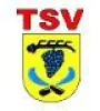 TSV Strümpfelbach II II